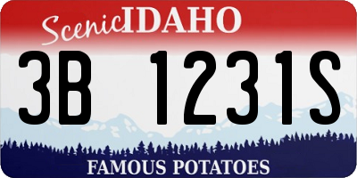 ID license plate 3B1231S