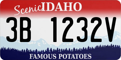 ID license plate 3B1232V
