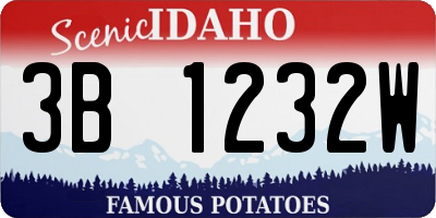 ID license plate 3B1232W