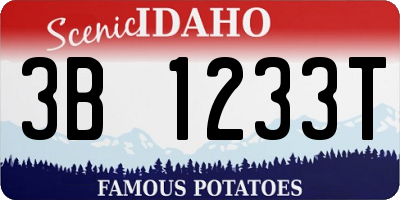 ID license plate 3B1233T