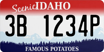 ID license plate 3B1234P