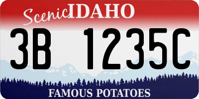 ID license plate 3B1235C