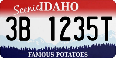 ID license plate 3B1235T