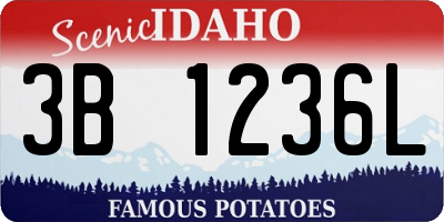 ID license plate 3B1236L