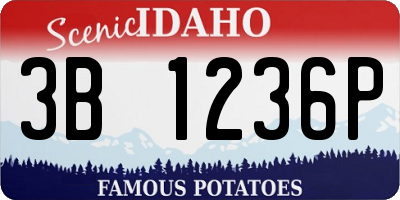 ID license plate 3B1236P