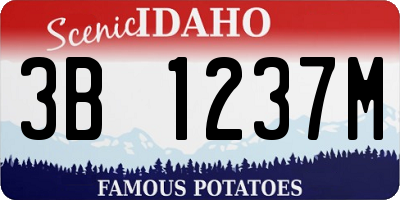 ID license plate 3B1237M