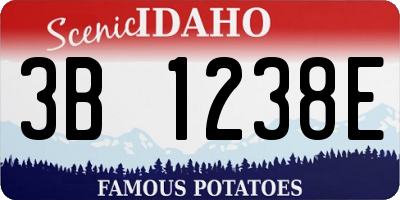 ID license plate 3B1238E