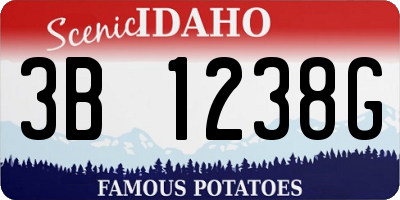 ID license plate 3B1238G