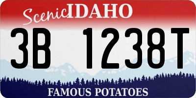ID license plate 3B1238T