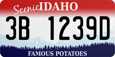 ID license plate 3B1239D