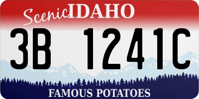 ID license plate 3B1241C