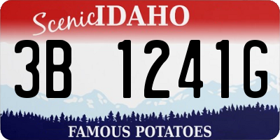 ID license plate 3B1241G