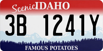 ID license plate 3B1241Y