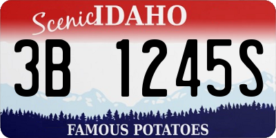 ID license plate 3B1245S