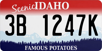 ID license plate 3B1247K