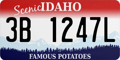ID license plate 3B1247L