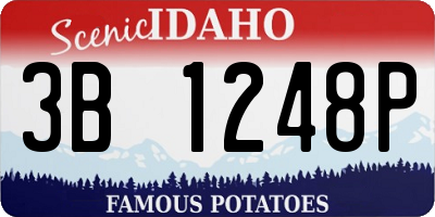 ID license plate 3B1248P