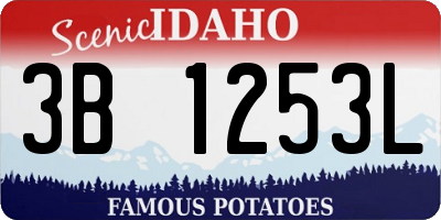 ID license plate 3B1253L