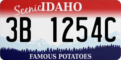ID license plate 3B1254C