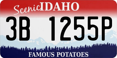 ID license plate 3B1255P