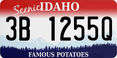 ID license plate 3B1255Q