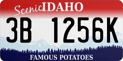 ID license plate 3B1256K