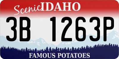 ID license plate 3B1263P