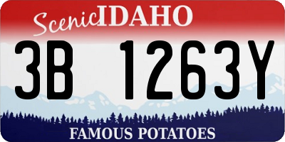 ID license plate 3B1263Y