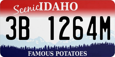 ID license plate 3B1264M