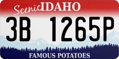 ID license plate 3B1265P
