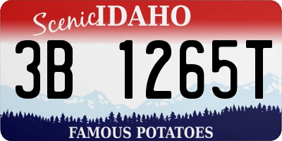 ID license plate 3B1265T