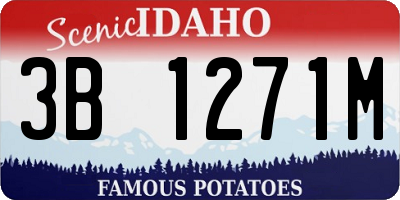 ID license plate 3B1271M