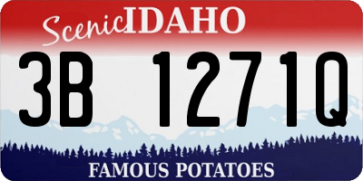 ID license plate 3B1271Q