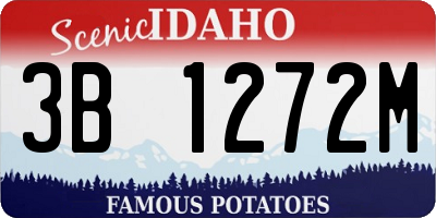 ID license plate 3B1272M