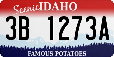 ID license plate 3B1273A