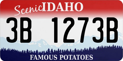 ID license plate 3B1273B