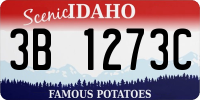 ID license plate 3B1273C