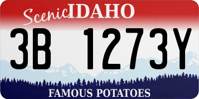 ID license plate 3B1273Y