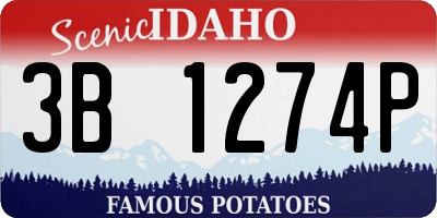ID license plate 3B1274P