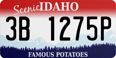 ID license plate 3B1275P