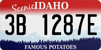 ID license plate 3B1287E