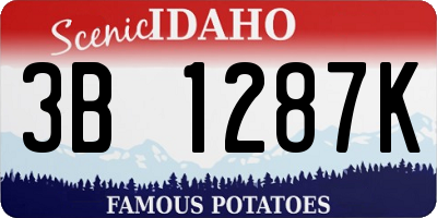 ID license plate 3B1287K