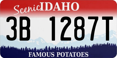 ID license plate 3B1287T