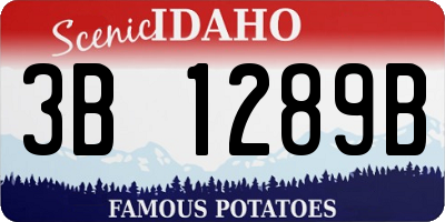 ID license plate 3B1289B
