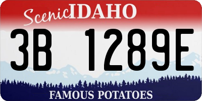 ID license plate 3B1289E