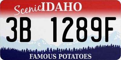 ID license plate 3B1289F