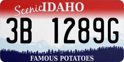 ID license plate 3B1289G