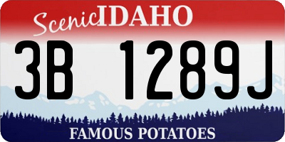 ID license plate 3B1289J