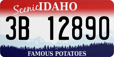 ID license plate 3B1289O