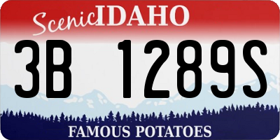 ID license plate 3B1289S